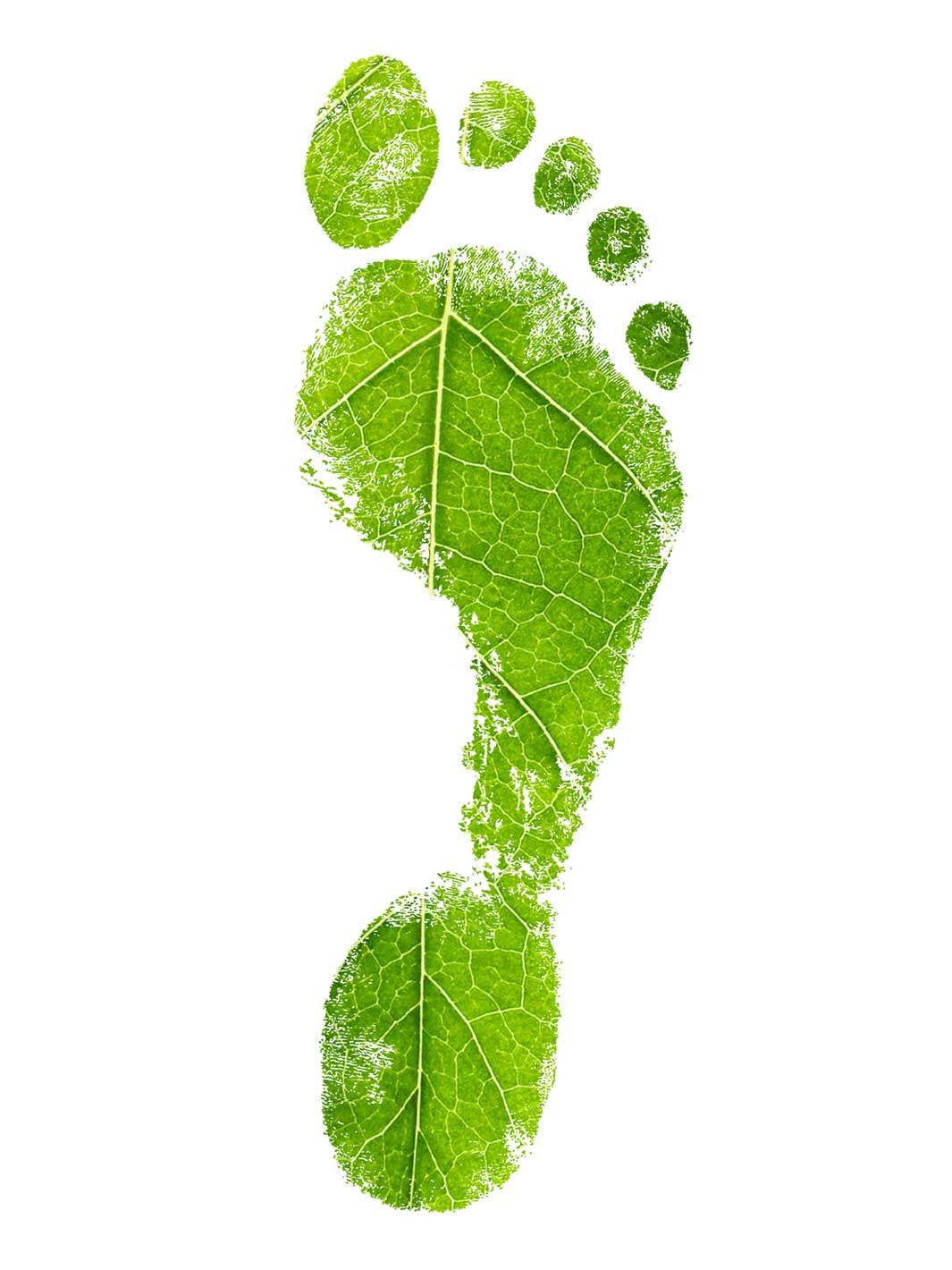 A footprint with a leaf texture.